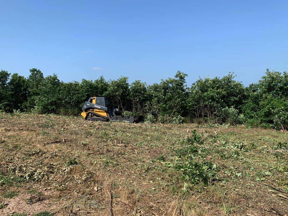 Land Clearing